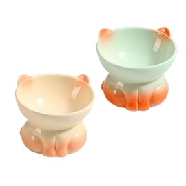 2Pcs Ceramic Raised Cat Bowl, Elevated Cats Food and Water Bowls, Tilted Pet Water Bowl, Anti Vomiting & Protect Pet's Spine Dishes for Small Dog, Kitten