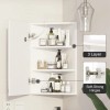 Mepplzian 1 Door LED Bathroom Mirror Cabinet Corner Wall Mounted
