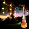 Himalayan Glow 60-Watt Salt Light Bulb - 1 Count, Dimmable,