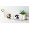 Seto Craft Motif Tape Dispenser, Bear SR-6412