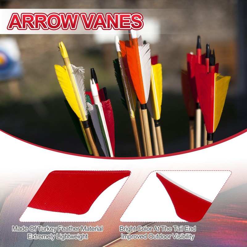 PATIKIL 4 Inch Arrow Vanes, 20 Pack Turkey Feather Fletching