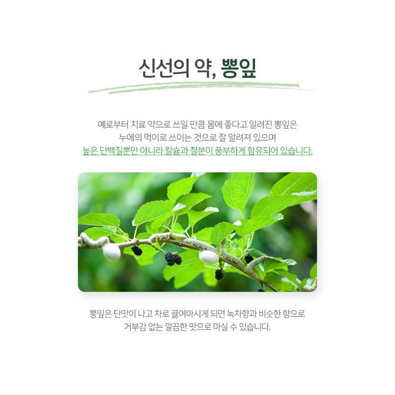 참굿즈 국내산 뽕잎분말 500g 1팩 / 고창산 뽕나무잎 100% Cham