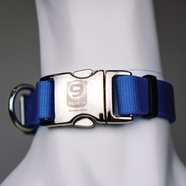 Blue-9 Secure Pro Dog Collar for Obedience, Training, and Identity, Durable and Adjustable Collar with Metal Buckle Dogs, Made in The USA, Sky Blue, Large