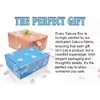 2 Sakura Box Japanese Snacks & Candy Sets - 2x