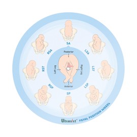 Ultrassist Midwife Fetal Position Tool - Small Size 5.12", Fetal Position Wheel for Midwives, Doula and Obstetricians Gifts, Childbirth Education Tool for Medical & Nursing Students