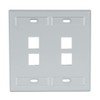 Leviton 42080-4GP 4-Port Dual Gang QuickPort Wallplate with ID Windows,