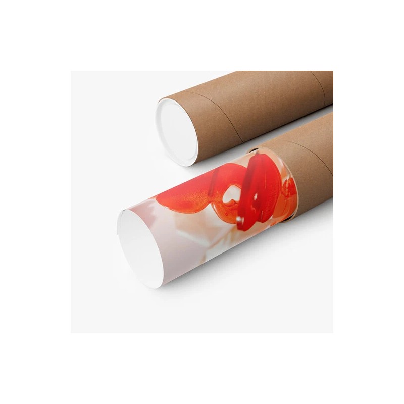 Home Decor Magdalena Bay Imaginal Mystery Tour 2024 Poster -