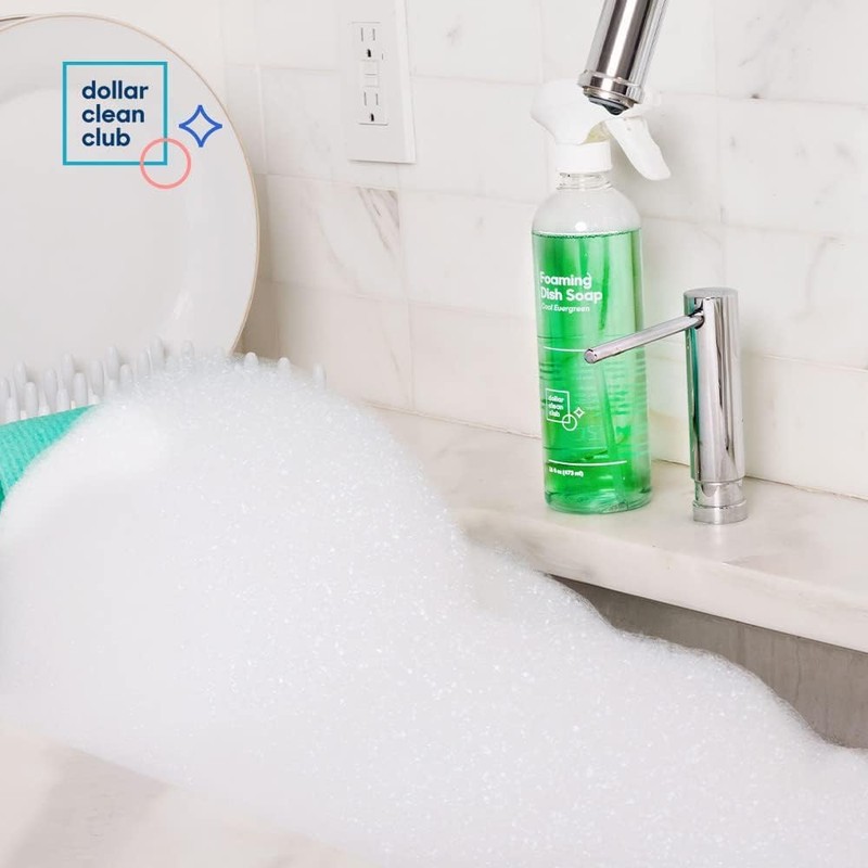 DOLLAR CLEAN CLUB Complete Home Cleaning 15 Pack Kit, Kitchen,