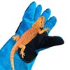 Animal Handing Gloves Bite Proof 23.7 Inch Kevlar Reinforced Multipurpose