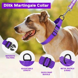 Dlitk Martingale Dog Collars, Adjustable Reflective Nylon Dog Collar for Training Dogs, No Pull Dog Choker Collar for Medium Large Dogs (L, Purple)