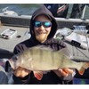 K.P Baits Skeleton Shad Rubber Fish, 3 Inches / 7.5