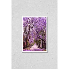 Poster Reproduction of Stunning alley with wonderful violet vibrant jacaranda in bloom. Tenderness. Romantic style. Spring in South Africa. Pretoria. Artistic retouching. Ideal background for