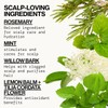 Conditioner Rosemary Purify 240ml – Pacifica (Modelo 687735641540)
