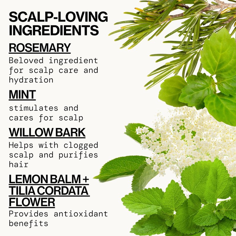 Conditioner Rosemary Purify 240ml – Pacifica (Modelo 687735641540)