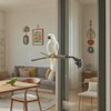 Bird Perch Stand 2 PCS, Parrot Perch Stand with Strong