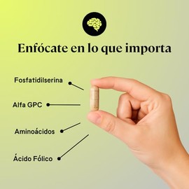 B-FIT B - HACK Fosfatidilserina 20%, Alfa GPC 50%, L-Tirosina, L-Teanina y Guaraná - Ácido Fólico - Suplemento Alimenticio - 60 Cápsulas - Sin Gluten,
