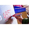 edding 800 Permanent Markers - Multicoloured - 5 Pens -