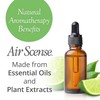 Air Scense Air Freshener Deodorizer Room Spray for Bathroom &