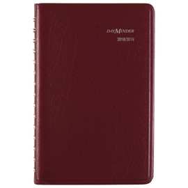 AT-A-GLANCE - Agenda escolar diaria/libro de citas, julio 2018 junio 2019, 4-7/8" x 8", color variará (AY4410), Variados