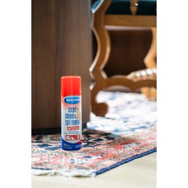 Sprayway Carpet Cleaner (Pet), 19oz, Pack of 6 | Removes Pet Stains & Odors, Foaming Action | Deep Cleans Carpets & Upholstery | Fresh Scent, Quick-Drying Formula