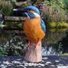Kayleigh the Kingfisher 25 cm Resin Garden Fishing/Pond Ornament