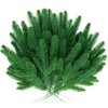 BCUEIDO 50 Pcs Christmas Greenery Stems Evergreen Branches Greenery Pine