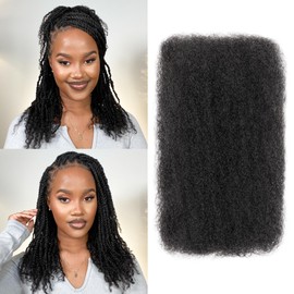 BLL Afro Kinkys Bulk Human Hair, 16 Inch 50g/Pack, 100% Human Hair for Mini Twist Braiding Dreadlock Loc Extensions Afro Kinky Curly Hair Bulk (1B, 16 Inch Pack Of 1)