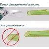 Metal Pruning Shears for Gardening – Sharp Hand Scissors for
