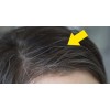 Shelo Shampoo Cubrir Canas Organo Nogal 500ml