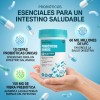 Windboss Billones Probióticos Enzimas 120 Cápsulas