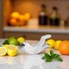 1pc Silver Manual Lemon Juicer,Exquisite Bird Stainless Steel Manual Lemon