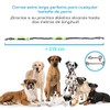 YL TRD Correa para Perros sin Manos con cinturón Ajustable,