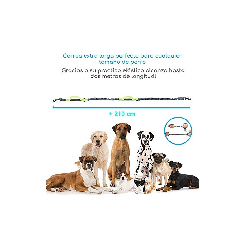 YL TRD Correa para Perros sin Manos con cinturón Ajustable,