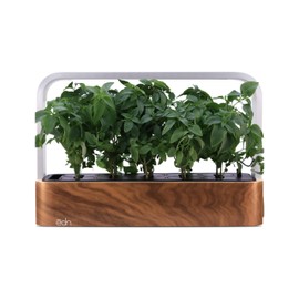 edn SmallGarden Thai Basil Variety SeedPods - 10 Pack