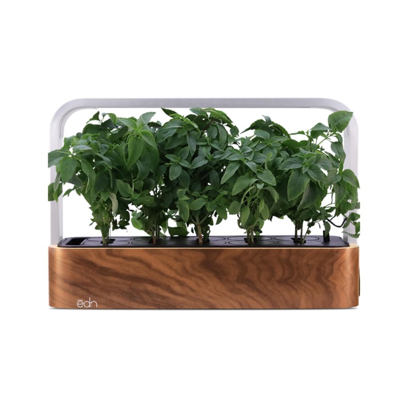 edn SmallGarden Thai Basil Variety SeedPods - 10 Pack