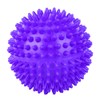 Spiky Massage Ball Plastic Body Spiky Stress Reflexology Porcupine Sensory
