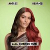 TinteNutrisseNutrisse coloríssimosMascarilla nutricolor permanentetono 6646 cobrizo rubípara cabello