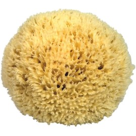 Natürlicher mediterraner Schwamm für den Körper, nicht synthetisch (11-12 cm mit Kordel)