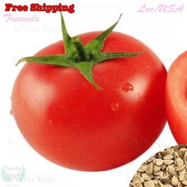 Treevale Beefsteak Tomato Seeds| Non-GMO, Vegetable Seeds - 200 Seeds No Tracking