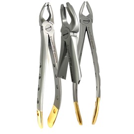 2pcs German Premium Dental Extracting Forceps F1 Upper Universal with Gold Handle Cynamed