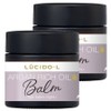 Lucidoel Argan Rich Oil Hair Balm Light, 2 pieces, 35g / 루시도엘 아르간 리치 오일 헤어 밤 라이트, 2개, 35g