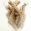 Koyal Wholesale Natural Cholla Wood Aquarium Branches, Airplants Decor, Reptile