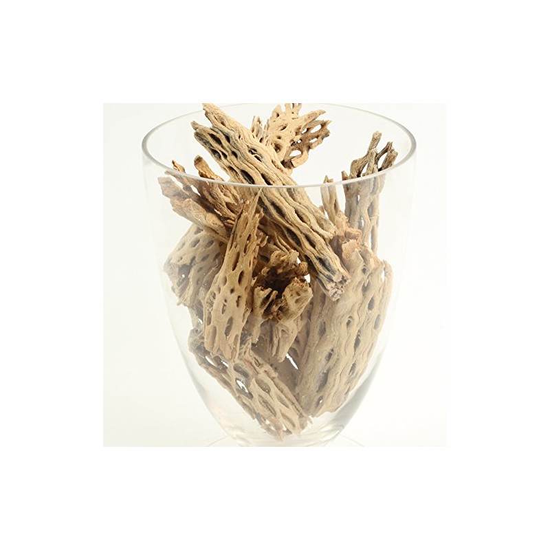Koyal Wholesale Natural Cholla Wood Aquarium Branches, Airplants Decor, Reptile