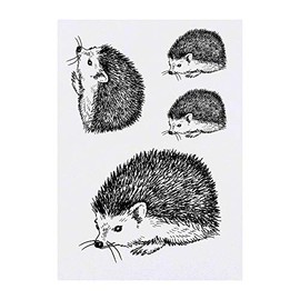 4 x 'Hedgehog' Temporary Tattoos (TO00033647)