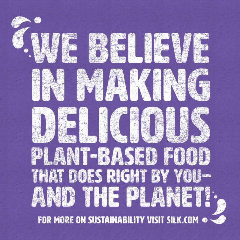 Silk Shelf-Stable Soymilk Singles, Very Vanilla, Dairy-Free, Vegan, Non-GMO Project