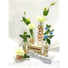 Sano Kiko Objects (Set of 5), Flower Clips, Flower Arrangement, Vase, Water Antibacterial