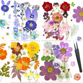 QVQQ Multiple Pressed Flowers for Resin Molds Carfts Jewerlry Beauty Makeup Art Decor 80pcs Hand-Made Dried Flowers for Candle Making, Scrapbook Supplies Soap Making DIY with 1 Tweezers