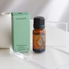 UNICE Partners EssenHerb Tea Tree 100 Oil Benefits How to