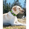 Joytale Airtag Dog Collar, Reflective Pet Collar with Waterproof AirTag
