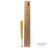 Gold Rock Candy on a Stick - Pack of 24